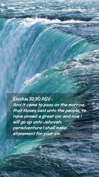 Picture 02 - Exodus 32:30 ASV Mobile Phone Wallpaper - And it came to pass on the morrow, that Moses - Mobile Bible Verse Wallpaper