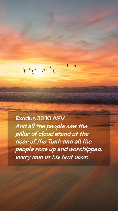 Picture 02 - Exodus 33:10 ASV Mobile Phone Wallpaper - And all the people saw the pillar of cloud stand - Mobile Bible Verse Wallpaper