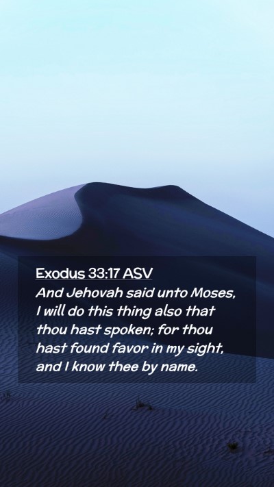 Picture 02 - Exodus 33:17 ASV Mobile Phone Wallpaper - And Jehovah said unto Moses, I will do this thing - Mobile Bible Verse Wallpaper