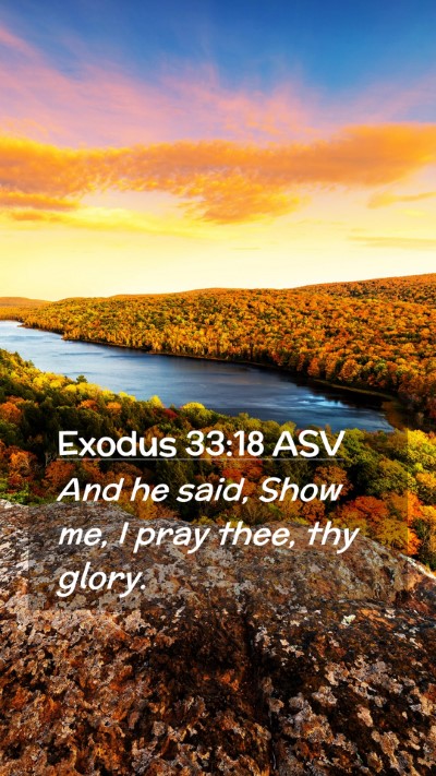 Picture 02 - Exodus 33:18 ASV Mobile Phone Wallpaper - And he said, Show me, I pray thee, thy - Mobile Bible Verse Wallpaper