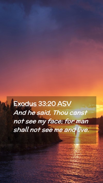 Picture 02 - Exodus 33:20 ASV Mobile Phone Wallpaper - And he said, Thou canst not see my face; for man - Mobile Bible Verse Wallpaper