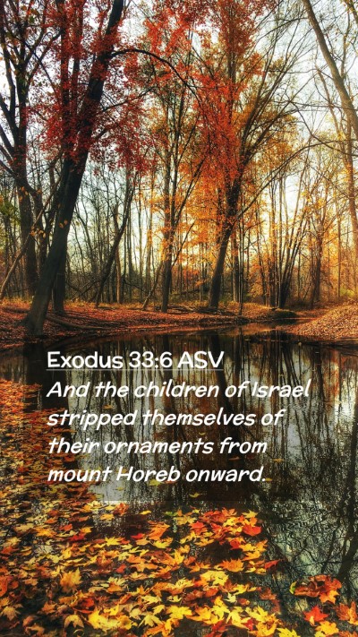 Picture 02 - Exodus 33:6 ASV Mobile Phone Wallpaper - And the children of Israel stripped themselves of - Mobile Bible Verse Wallpaper