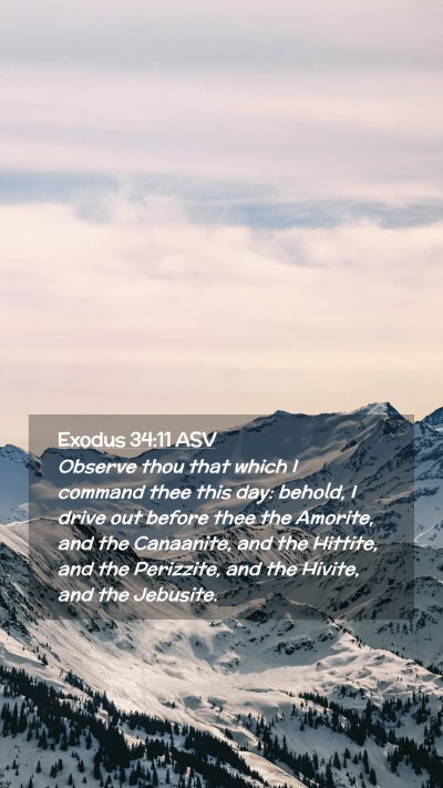 Picture 02 - Exodus 34:11 ASV Mobile Phone Wallpaper - Observe thou that which I command thee this day: - Mobile Bible Verse Wallpaper