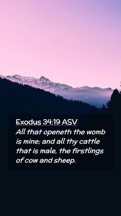 Picture 02 - Exodus 34:19 ASV Mobile Phone Wallpaper - All that openeth the womb is mine; and all thy - Mobile Bible Verse Wallpaper