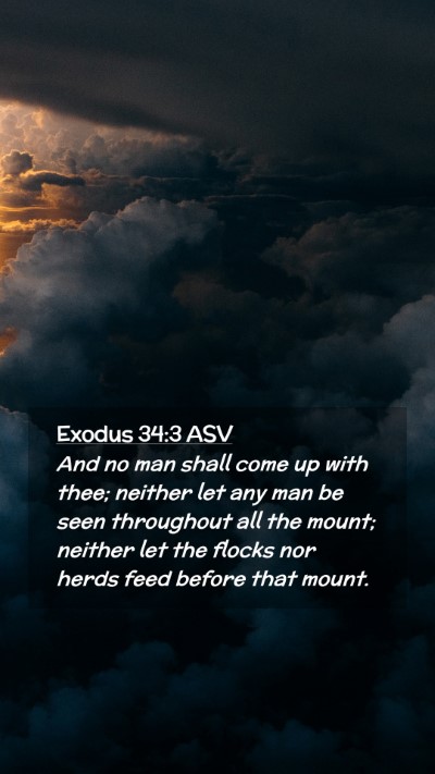 Picture 02 - Exodus 34:3 ASV Mobile Phone Wallpaper - And no man shall come up with thee; neither let - Mobile Bible Verse Wallpaper
