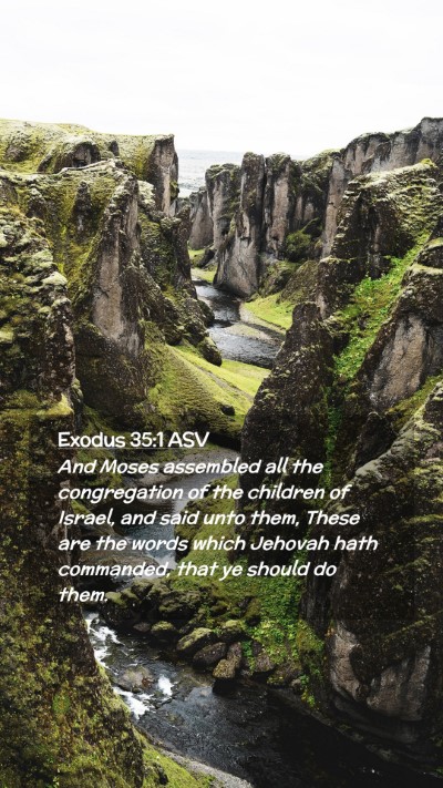 Picture 02 - Exodus 35:1 ASV Mobile Phone Wallpaper - And Moses assembled all the congregation of the - Mobile Bible Verse Wallpaper