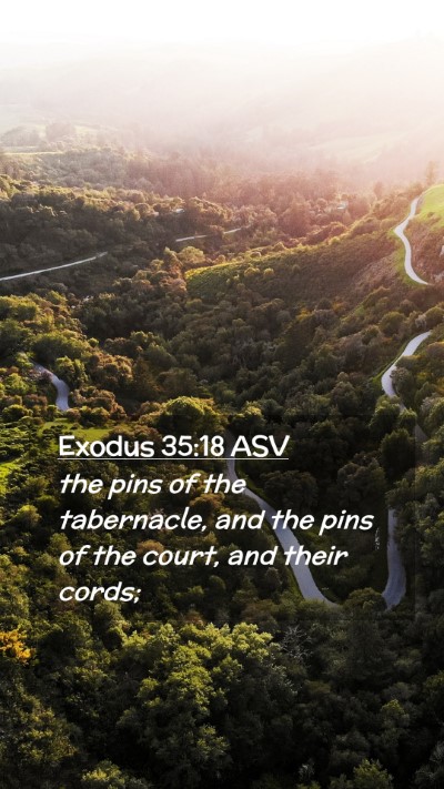 Picture 02 - Exodus 35:18 ASV Mobile Phone Wallpaper - the pins of the tabernacle, and the pins of the - Mobile Bible Verse Wallpaper