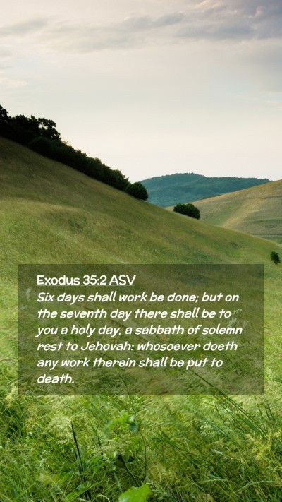 Picture 02 - Exodus 35:2 ASV Mobile Phone Wallpaper - Six days shall work be done; but on the seventh - Mobile Bible Verse Wallpaper