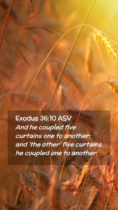Picture 02 - Exodus 36:10 ASV Mobile Phone Wallpaper - And he coupled five curtains one to another: and - Mobile Bible Verse Wallpaper