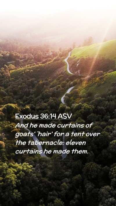 Picture 02 - Exodus 36:14 ASV Mobile Phone Wallpaper - And he made curtains of goats' `hair' for a tent - Mobile Bible Verse Wallpaper