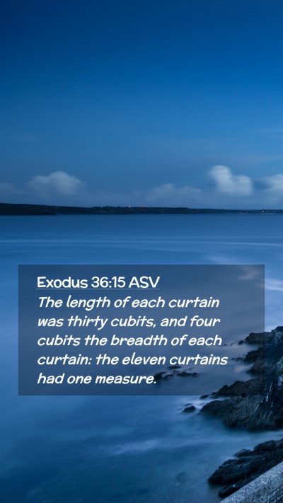 Picture 02 - Exodus 36:15 ASV Mobile Phone Wallpaper - The length of each curtain was thirty cubits, and - Mobile Bible Verse Wallpaper
