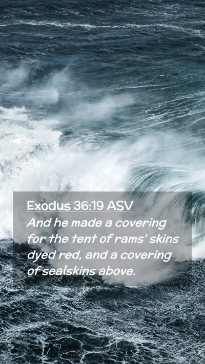 Picture 02 - Exodus 36:19 ASV Mobile Phone Wallpaper - And he made a covering for the tent of rams' - Mobile Bible Verse Wallpaper