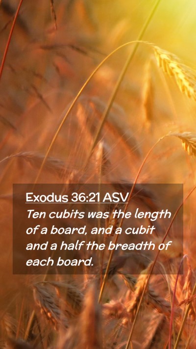 Picture 02 - Exodus 36:21 ASV Mobile Phone Wallpaper - Ten cubits was the length of a board, and a cubit - Mobile Bible Verse Wallpaper