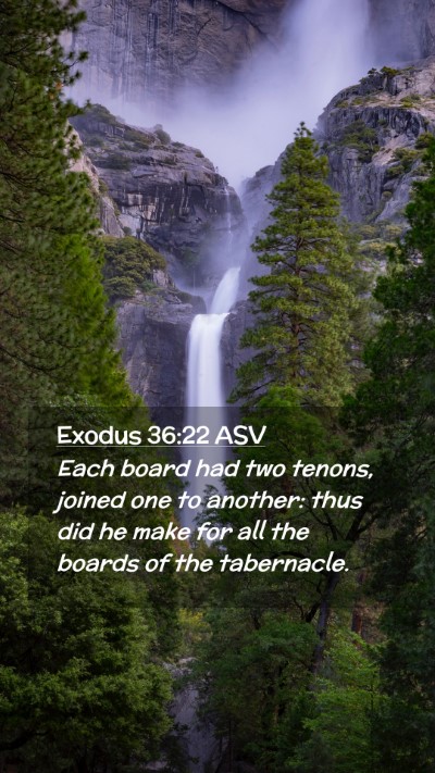 Picture 02 - Exodus 36:22 ASV Mobile Phone Wallpaper - Each board had two tenons, joined one to another: - Mobile Bible Verse Wallpaper