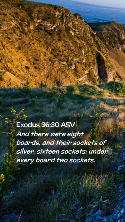 Picture 02 - Exodus 36:30 ASV Mobile Phone Wallpaper - And there were eight boards, and their sockets of - Mobile Bible Verse Wallpaper