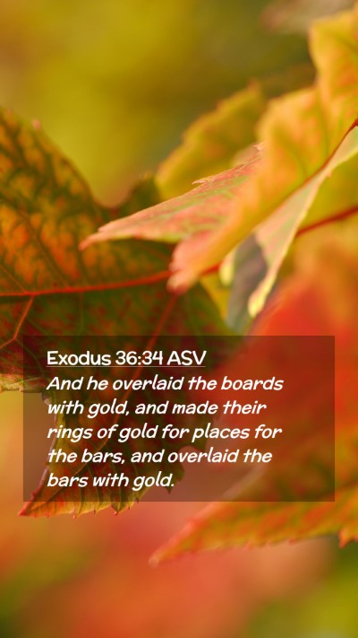 Picture 02 - Exodus 36:34 ASV Mobile Phone Wallpaper - And he overlaid the boards with gold, and made - Mobile Bible Verse Wallpaper