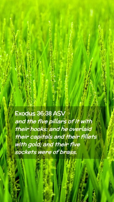 Picture 02 - Exodus 36:38 ASV Mobile Phone Wallpaper - and the five pillars of it with their hooks: and - Mobile Bible Verse Wallpaper
