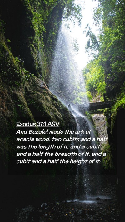 Picture 02 - Exodus 37:1 ASV Mobile Phone Wallpaper - And Bezalel made the ark of acacia wood: two - Mobile Bible Verse Wallpaper