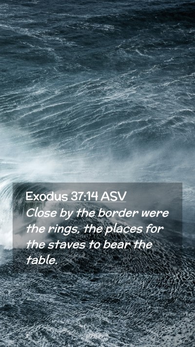 Picture 02 - Exodus 37:14 ASV Mobile Phone Wallpaper - Close by the border were the rings, the places - Mobile Bible Verse Wallpaper