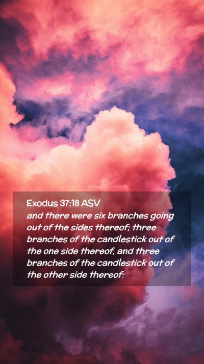 Picture 02 - Exodus 37:18 ASV Mobile Phone Wallpaper - and there were six branches going out of the - Mobile Bible Verse Wallpaper