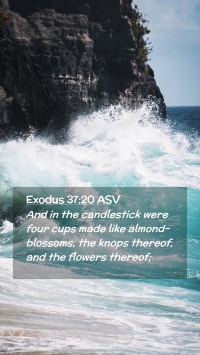 Picture 02 - Exodus 37:20 ASV Mobile Phone Wallpaper - And in the candlestick were four cups made like - Mobile Bible Verse Wallpaper