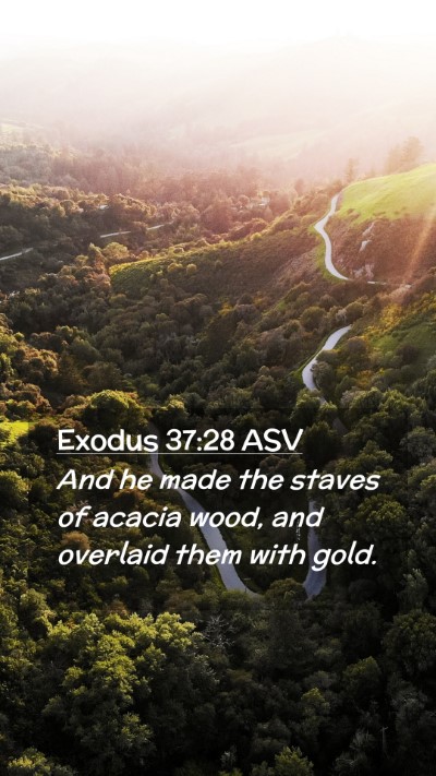 Picture 02 - Exodus 37:28 ASV Mobile Phone Wallpaper - And he made the staves of acacia wood, and - Mobile Bible Verse Wallpaper