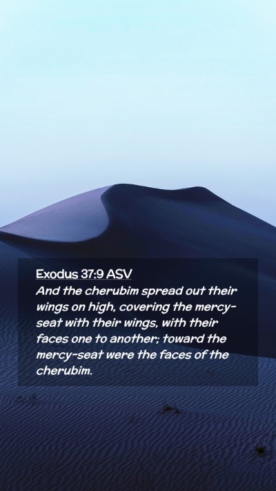 Picture 02 - Exodus 37:9 ASV Mobile Phone Wallpaper - And the cherubim spread out their wings on high, - Mobile Bible Verse Wallpaper