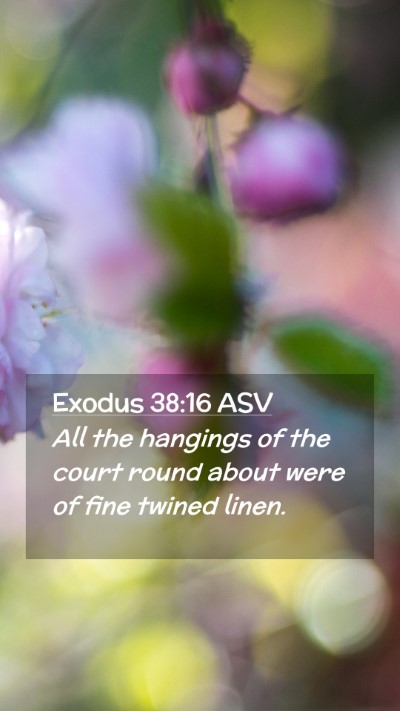 Picture 02 - Exodus 38:16 ASV Mobile Phone Wallpaper - All the hangings of the court round about were of - Mobile Bible Verse Wallpaper