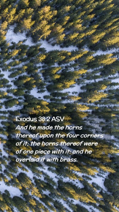 Picture 02 - Exodus 38:2 ASV Mobile Phone Wallpaper - And he made the horns thereof upon the four - Mobile Bible Verse Wallpaper