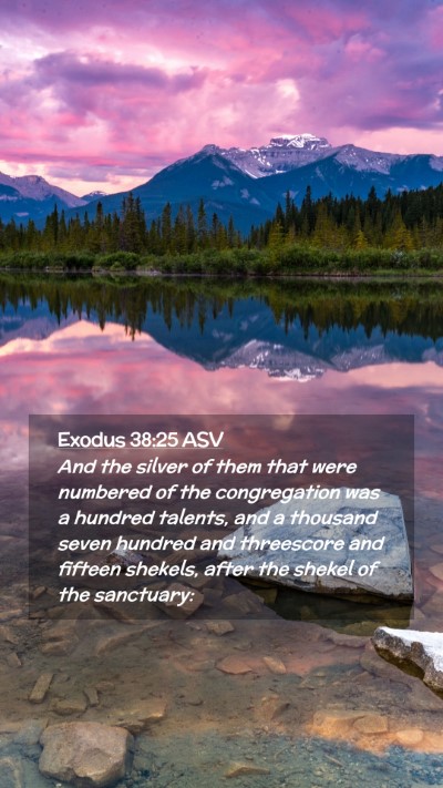 Picture 02 - Exodus 38:25 ASV Mobile Phone Wallpaper - And the silver of them that were numbered of the - Mobile Bible Verse Wallpaper