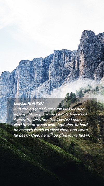 Picture 02 - Exodus 4:14 ASV Mobile Phone Wallpaper - And the anger of Jehovah was kindled against - Mobile Bible Verse Wallpaper