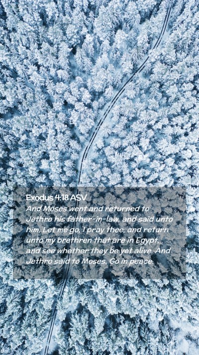 Picture 02 - Exodus 4:18 ASV Mobile Phone Wallpaper - And Moses went and returned to Jethro his - Mobile Bible Verse Wallpaper