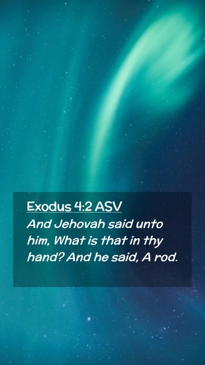 Picture 02 - Exodus 4:2 ASV Mobile Phone Wallpaper - And Jehovah said unto him, What is that in thy - Mobile Bible Verse Wallpaper