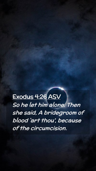 Picture 02 - Exodus 4:26 ASV Mobile Phone Wallpaper - So he let him alone. Then she said, A bridegroom - Mobile Bible Verse Wallpaper