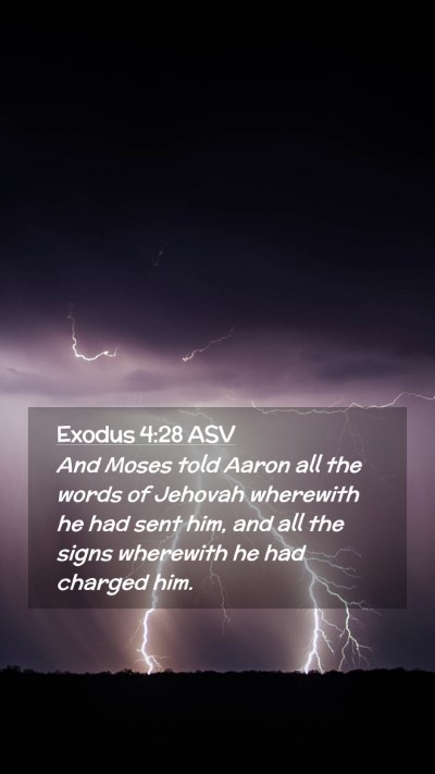 Picture 02 - Exodus 4:28 ASV Mobile Phone Wallpaper - And Moses told Aaron all the words of Jehovah - Mobile Bible Verse Wallpaper