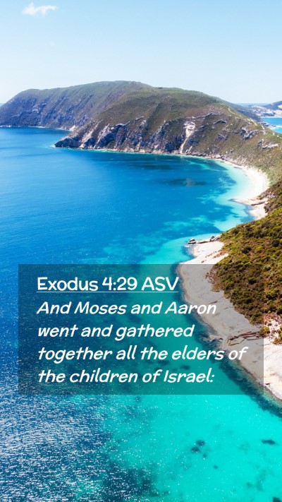 Picture 02 - Exodus 4:29 ASV Mobile Phone Wallpaper - And Moses and Aaron went and gathered together - Mobile Bible Verse Wallpaper