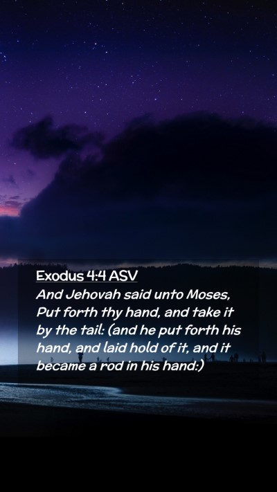 Picture 02 - Exodus 4:4 ASV Mobile Phone Wallpaper - And Jehovah said unto Moses, Put forth thy hand, - Mobile Bible Verse Wallpaper