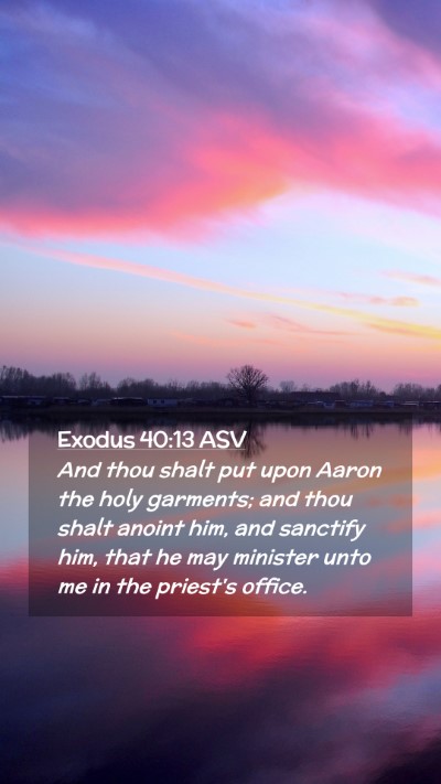 Picture 02 - Exodus 40:13 ASV Mobile Phone Wallpaper - And thou shalt put upon Aaron the holy garments; - Mobile Bible Verse Wallpaper