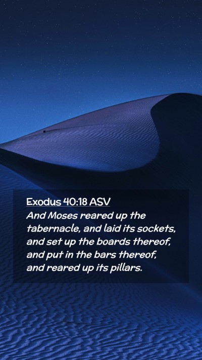 Picture 02 - Exodus 40:18 ASV Mobile Phone Wallpaper - And Moses reared up the tabernacle, and laid its - Mobile Bible Verse Wallpaper