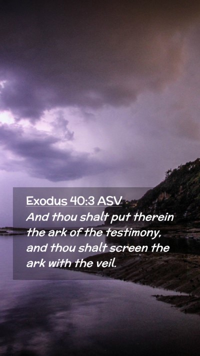 Picture 02 - Exodus 40:3 ASV Mobile Phone Wallpaper - And thou shalt put therein the ark of the - Mobile Bible Verse Wallpaper