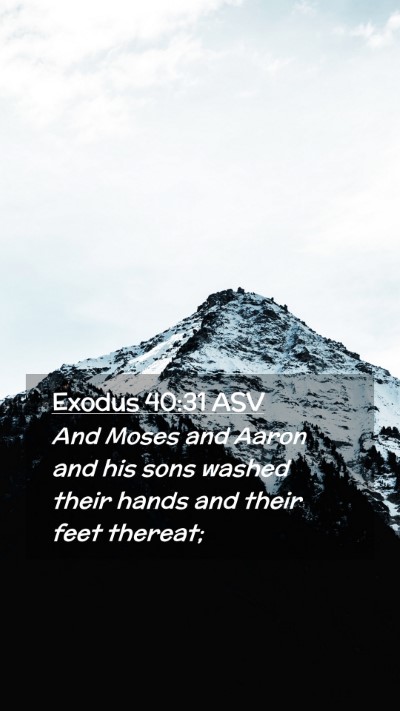 Picture 02 - Exodus 40:31 ASV Mobile Phone Wallpaper - And Moses and Aaron and his sons washed their - Mobile Bible Verse Wallpaper