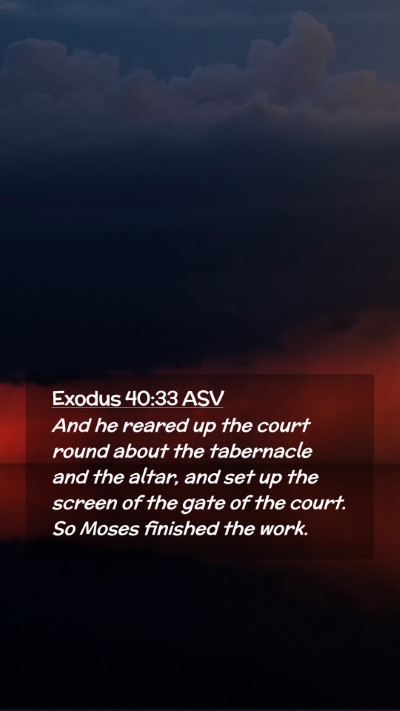 Picture 02 - Exodus 40:33 ASV Mobile Phone Wallpaper - And he reared up the court round about the - Mobile Bible Verse Wallpaper