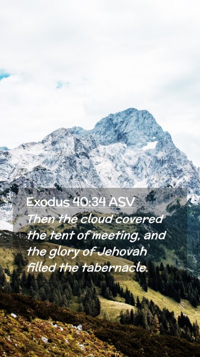 Picture 02 - Exodus 40:34 ASV Mobile Phone Wallpaper - Then the cloud covered the tent of meeting, and - Mobile Bible Verse Wallpaper