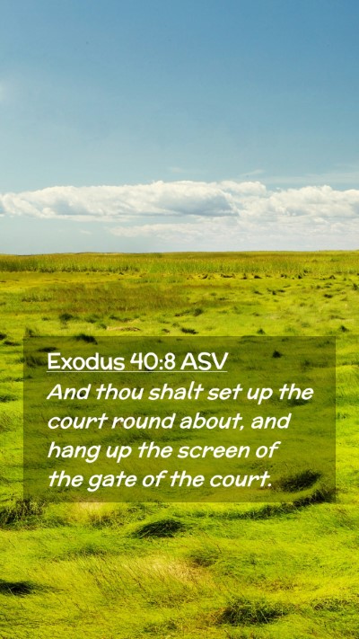 Picture 02 - Exodus 40:8 ASV Mobile Phone Wallpaper - And thou shalt set up the court round about, and - Mobile Bible Verse Wallpaper