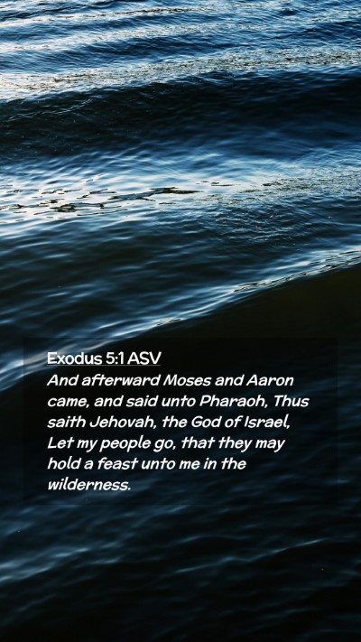 Picture 02 - Exodus 5:1 ASV Mobile Phone Wallpaper - And afterward Moses and Aaron came, and said unto - Mobile Bible Verse Wallpaper