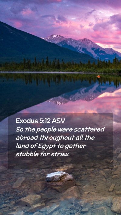 Picture 02 - Exodus 5:12 ASV Mobile Phone Wallpaper - So the people were scattered abroad throughout - Mobile Bible Verse Wallpaper