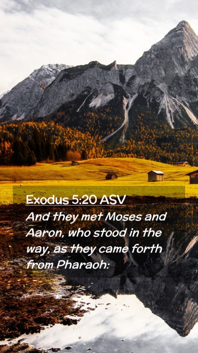 Picture 02 - Exodus 5:20 ASV Mobile Phone Wallpaper - And they met Moses and Aaron, who stood in the - Mobile Bible Verse Wallpaper