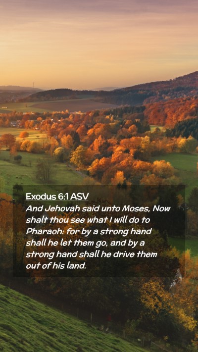 Picture 02 - Exodus 6:1 ASV Mobile Phone Wallpaper - And Jehovah said unto Moses, Now shalt thou see - Mobile Bible Verse Wallpaper