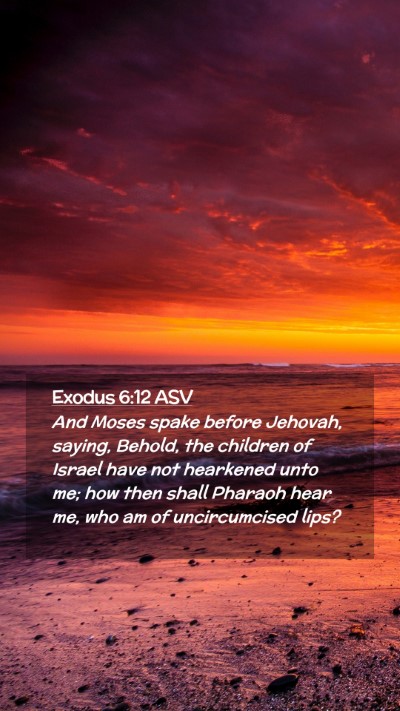 Picture 02 - Exodus 6:12 ASV Mobile Phone Wallpaper - And Moses spake before Jehovah, saying, Behold, - Mobile Bible Verse Wallpaper
