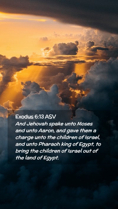 Picture 02 - Exodus 6:13 ASV Mobile Phone Wallpaper - And Jehovah spake unto Moses and unto Aaron, and - Mobile Bible Verse Wallpaper